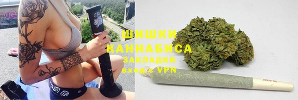 тгк Бородино