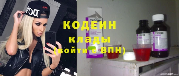 тгк Бородино