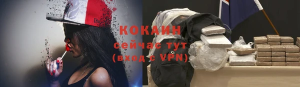 тгк Бородино