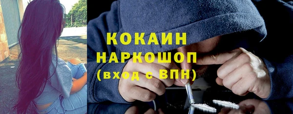 тгк Бородино