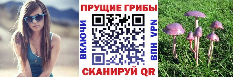 Галлюциногенные грибы Magic Shrooms  Воскресенск 